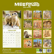 Calendrier Papier 2026 Suricate
