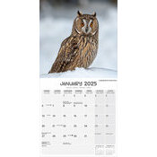 Calendrier 2025 Chouette