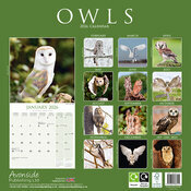 Calendrier Mural 2026 Chouette