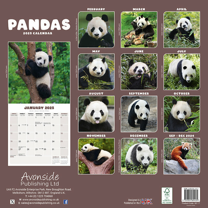 Calendrier 2025 Panda papier