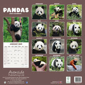 Calendrier 2025 Panda papier