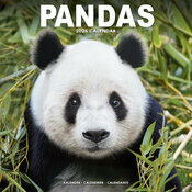 Calendrier Papier 2026 Panda