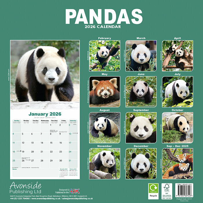 Calendrier Mural 2026 Panda
