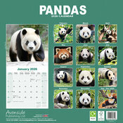 Calendrier Mural 2026 Panda