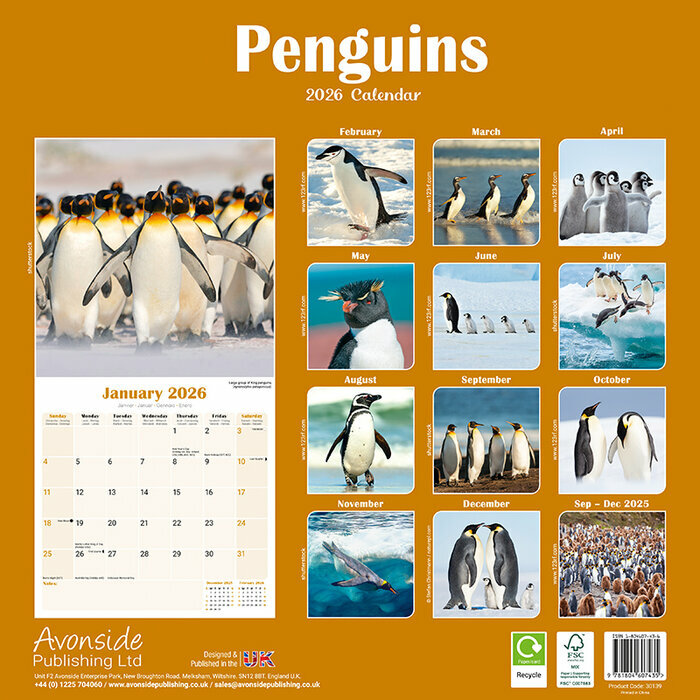 Calendrier Mural 2026 Pingouin