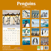 Calendrier Mural 2026 Pingouin