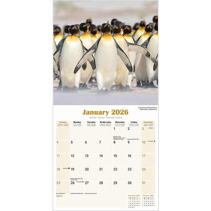 Calendrier Papier 2026 Pingouin
