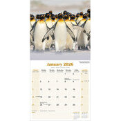 Calendrier Papier 2026 Pingouin