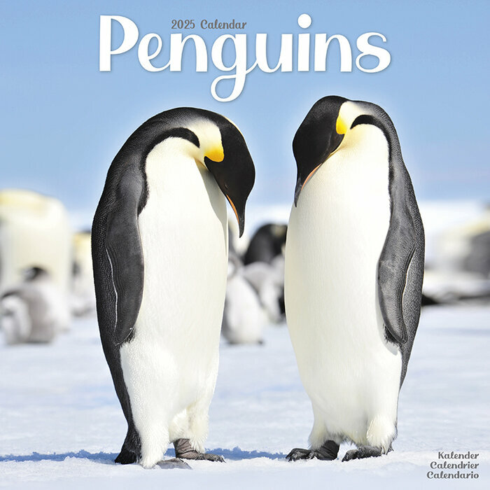 Calendrier 2026 Pingouin