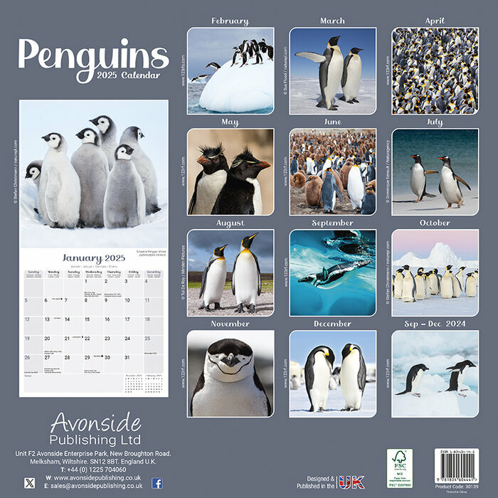 Calendrier 2026 Pingouin