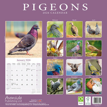 Calendrier 2025 Pigeon