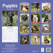 Calendrier 2025 Chiots