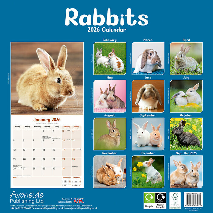 Calendrier 2026 papier Lapin