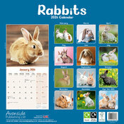 Calendrier 2026 papier Lapin
