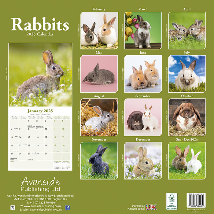 Calendrier 2025 Lapins