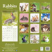 Calendrier 2025 Lapins