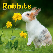 Calendrier mural 2026 Lapin