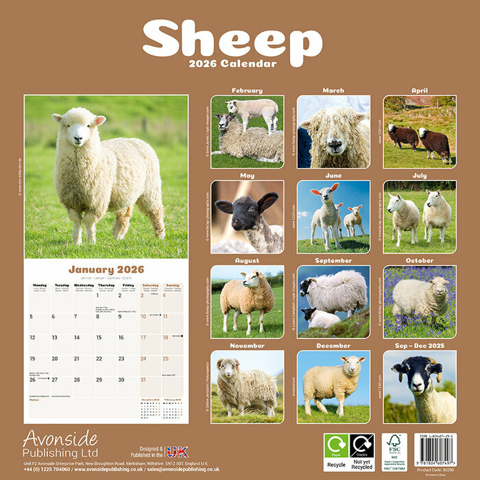 Calendrier papier 2026 Mouton belier