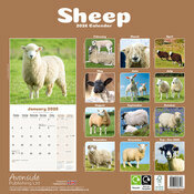 Calendrier papier 2026 Mouton belier