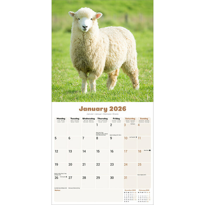 Calendrier 2026 Mouton belier