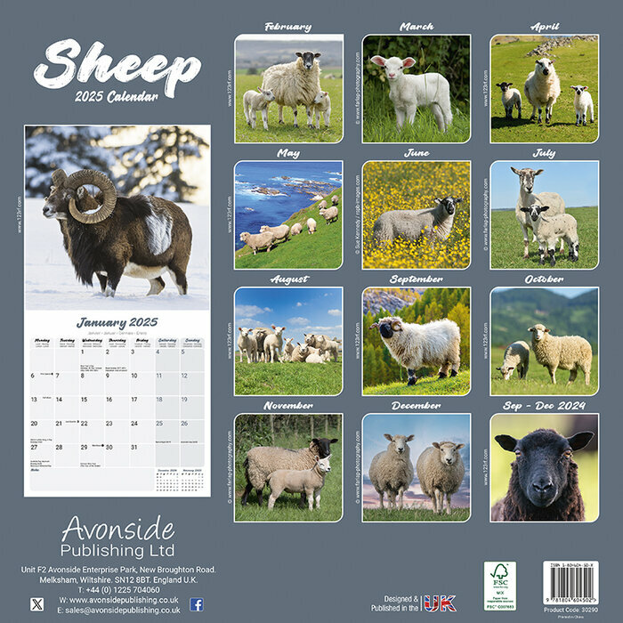 Calendrier 2025 Mouton