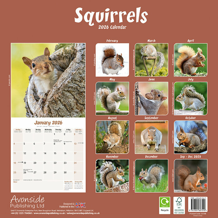 Calendrier papier 2026 ecureuil