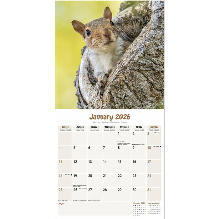 Calendrier 2026 ecureuil