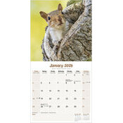 Calendrier 2026 ecureuil
