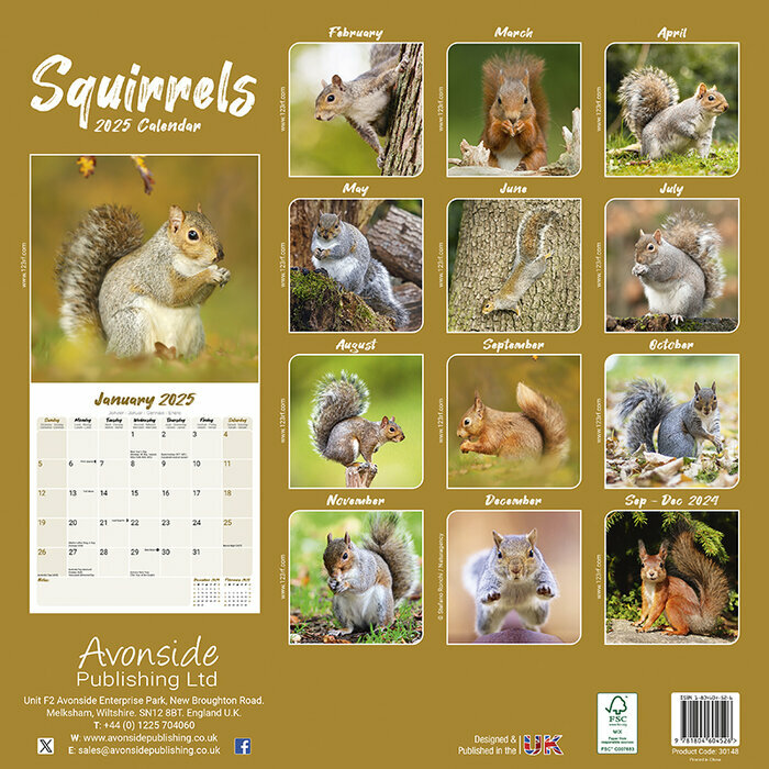Calendrier 2026 cureuils