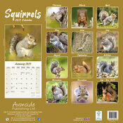Calendrier 2026 cureuils