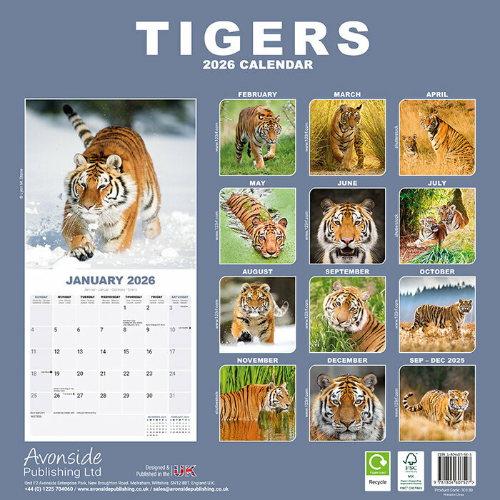 Calendrier papier 2026 Tigre nature