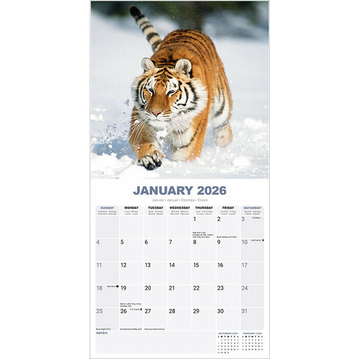 Calendrier  2026 Tigre nature