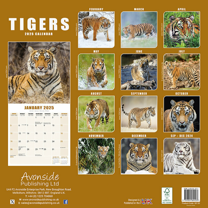 Calendrier 2025 Tigre