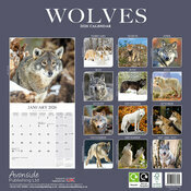 Calendrier papier 2025 Loup neige