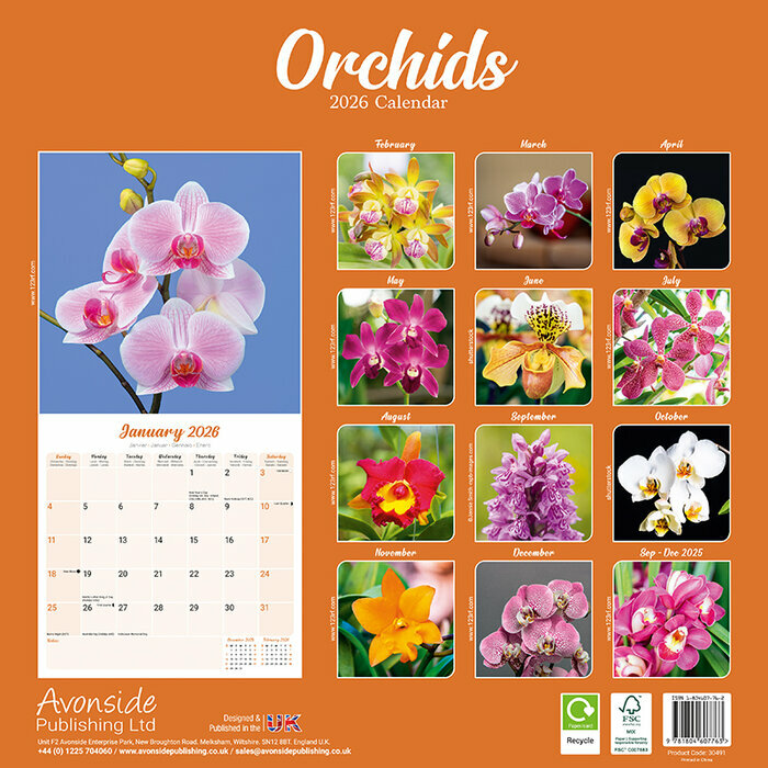 Calendrier 2026 papier Orchide Phalaenopsisi