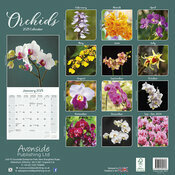 Calendrier 2025 Orchides couleurs