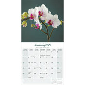 Calendrier Mural 2025 Orchide blanche