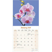 Calendrier Mural 2025 Orchide blanche