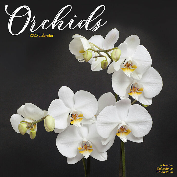 Calendrier 2025 Orchide Phalaenopsisi
