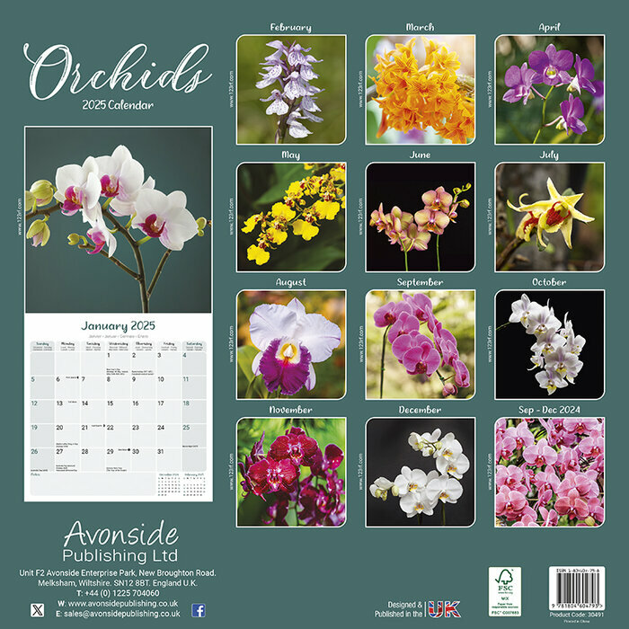 Calendrier 2025 Orchides couleurs