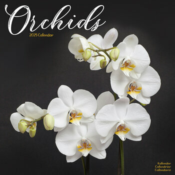 Calendrier 2025 Fleurs Orchidées