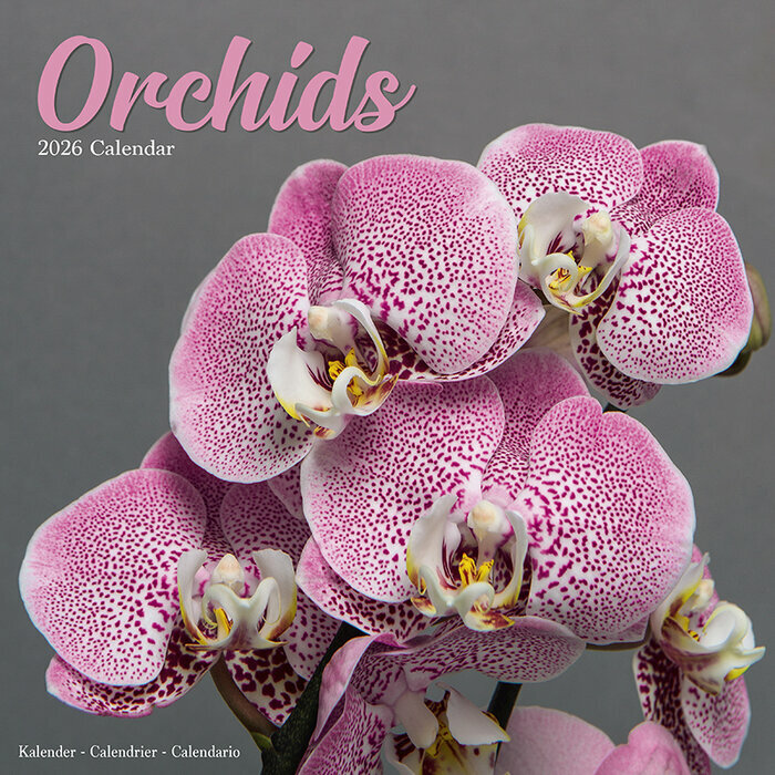 Calendrier 2026 mural Orchide Phalaenopsisi