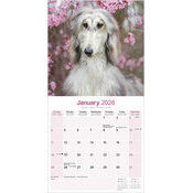 Calendrier 2026 Lévrier Afghan Nature