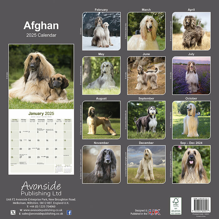 Calendrier Mural 2025 Lévrier Afghan