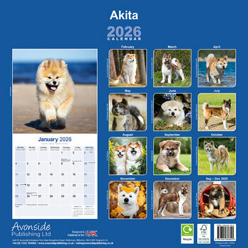 Calendrier 2026 Akita Inu Akita Américain