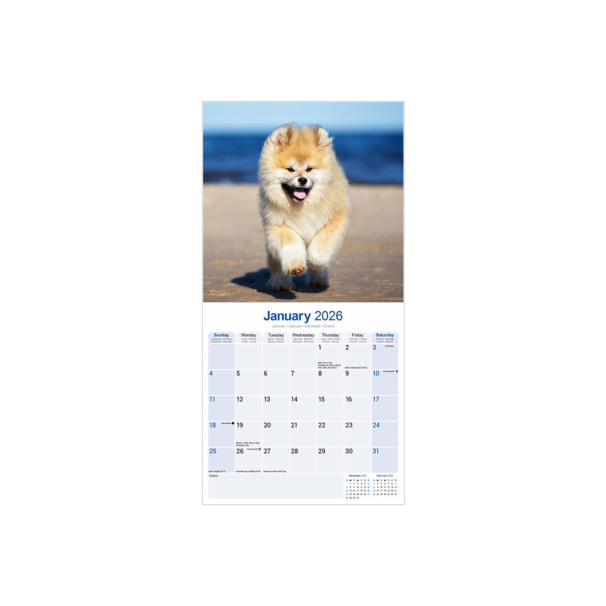 Calendrier Mural 2025 Chien de Race Akita Inu Chien Japonais Akita