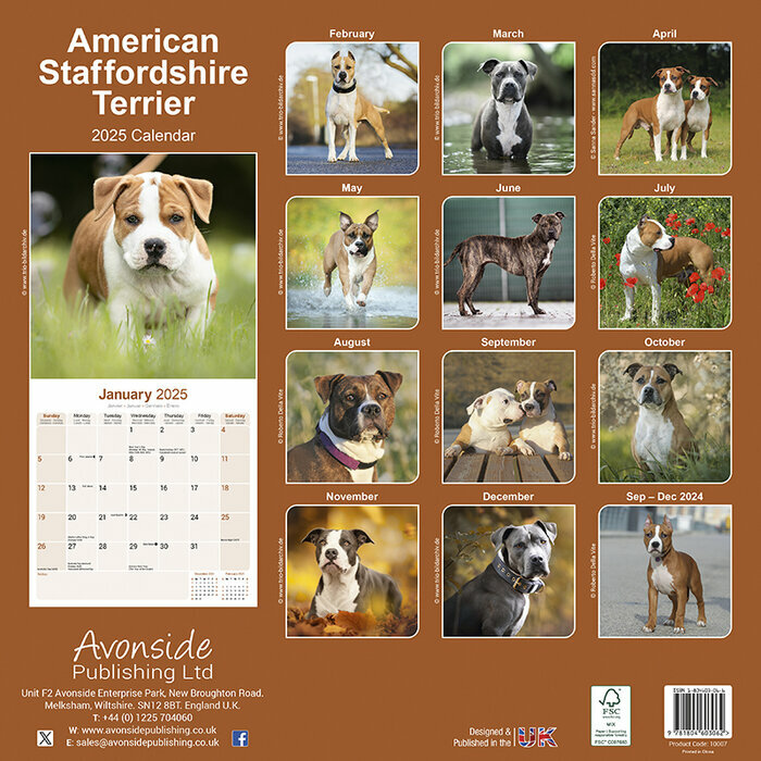Calendrier Mural 2025 Amstaff