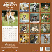 Calendrier Mural 2025 Amstaff