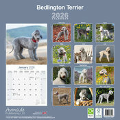 Calendrier papier 2026 Bedlington Terrier