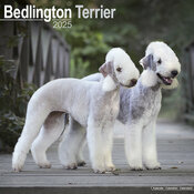 Calendrier Mural 2025 2 Bedlington Terrier